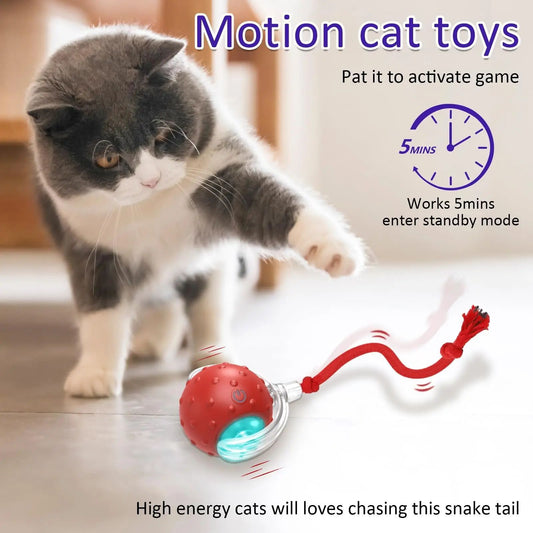 Cats Pets Toys Mot Pet Products