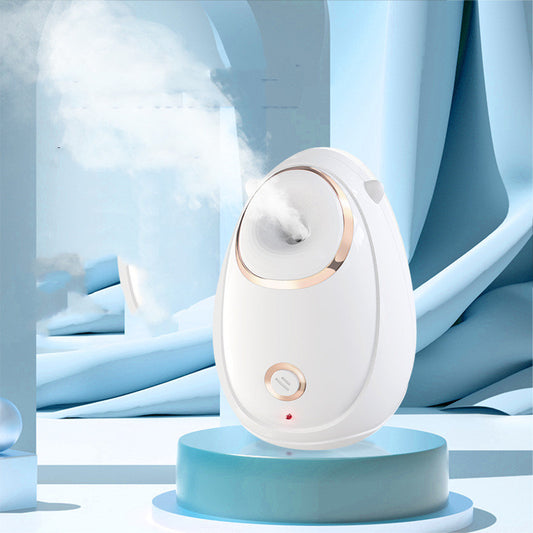 Beauty Hot Spray Steaming Face Instrument