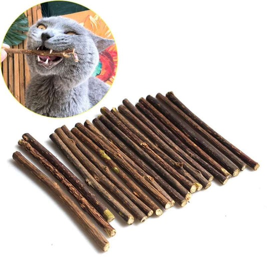 Catnip toothpaste stick