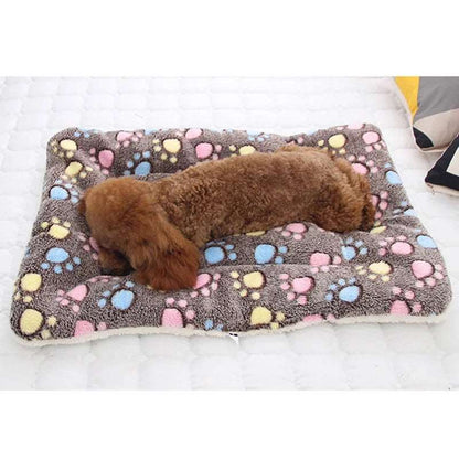 Dog Blanket