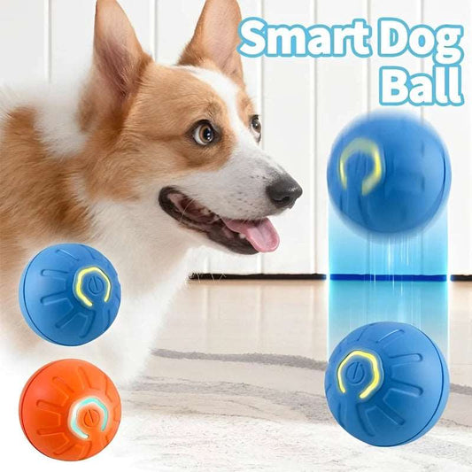 Dog Toy Ball