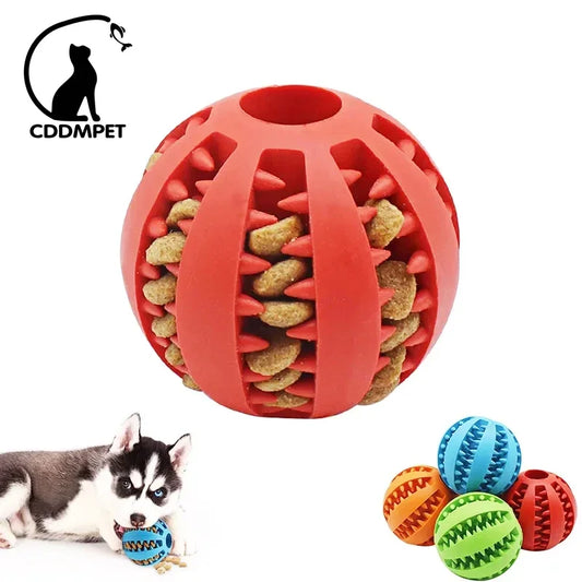 Interactive Dog Ball