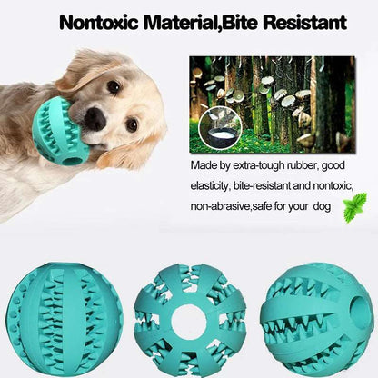 Interactive Treat Ball