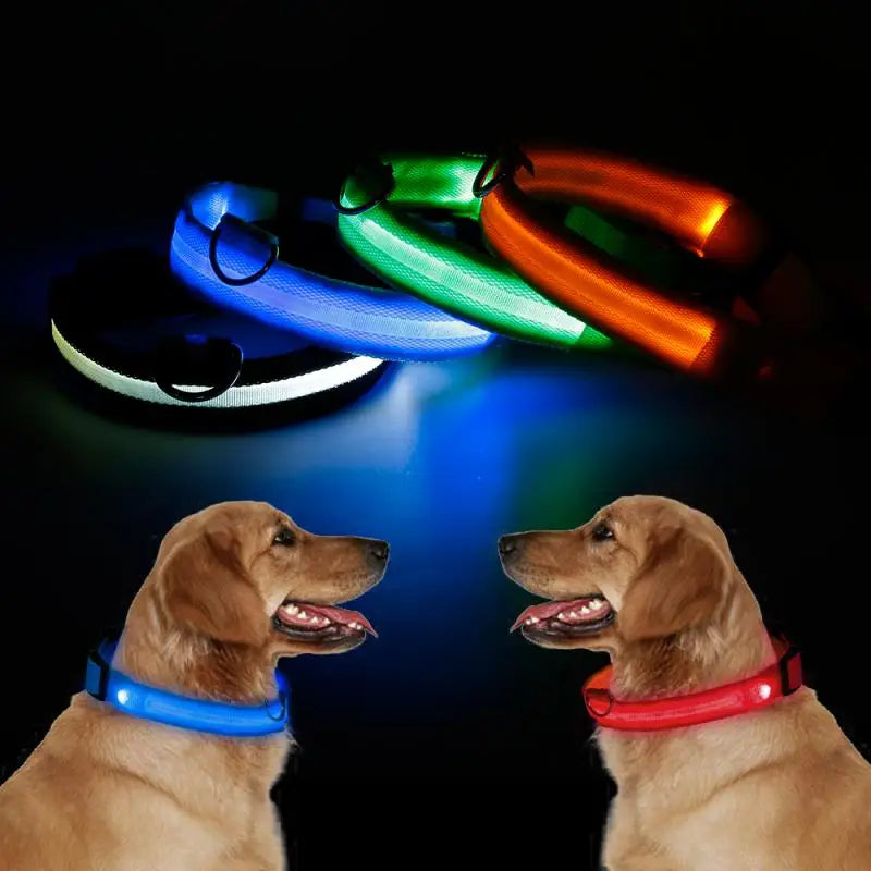 LED Collar Light