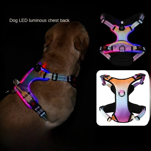 LED dog strap,