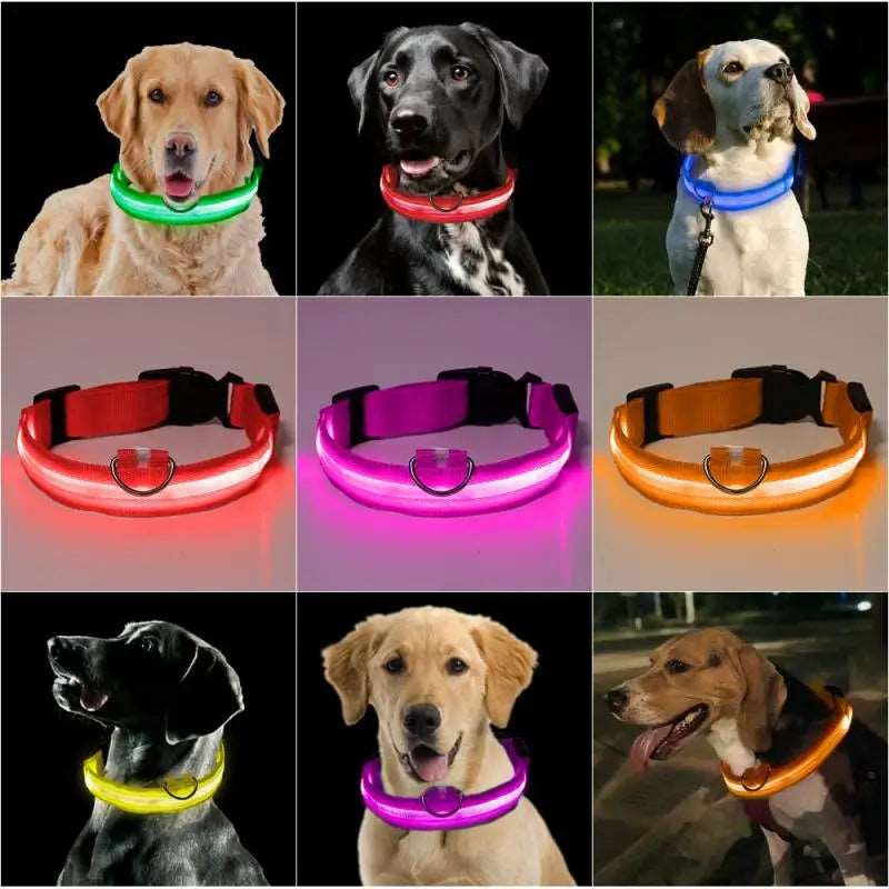 LED Battery Dog Collar Light