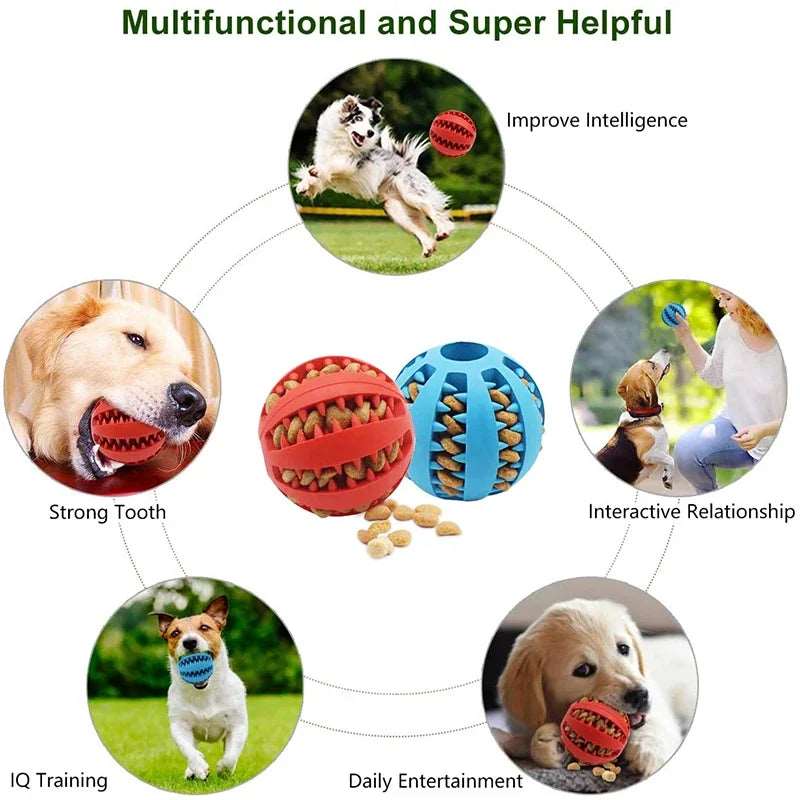 Interactive Dog Ball Toy