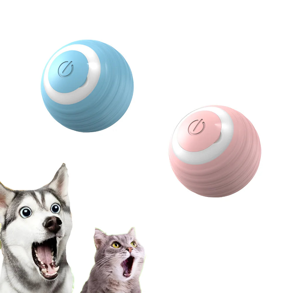 Smart Cat Interactive Ball