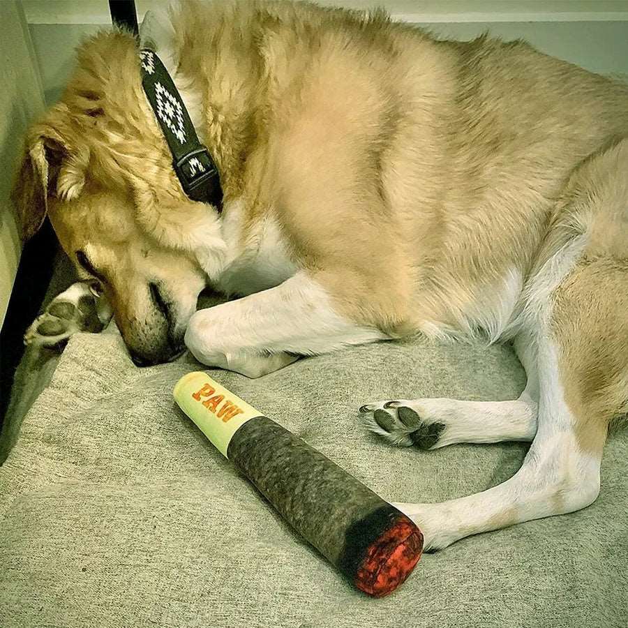 Interactive Cigar Dog Toy