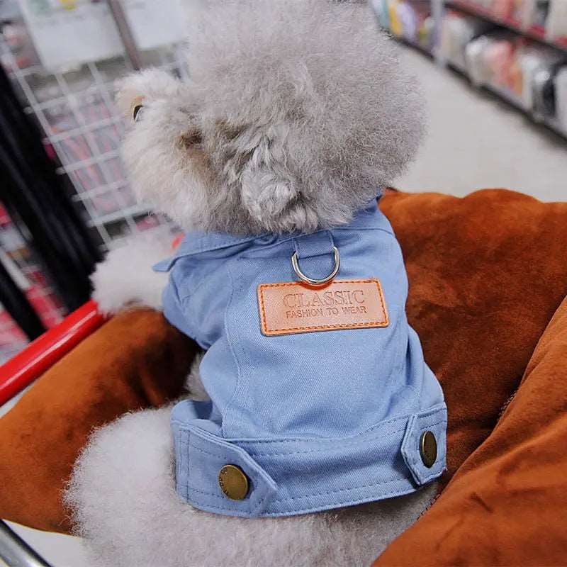 Spring Dog Denim Coat