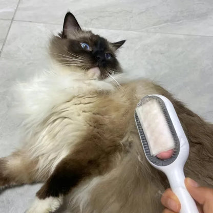 Double-Sided Pet Hair Brush