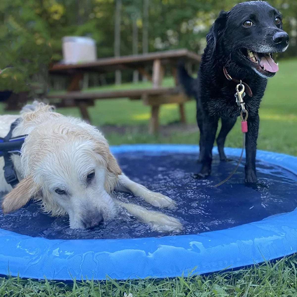 Inflatable Pet Swimming Pool