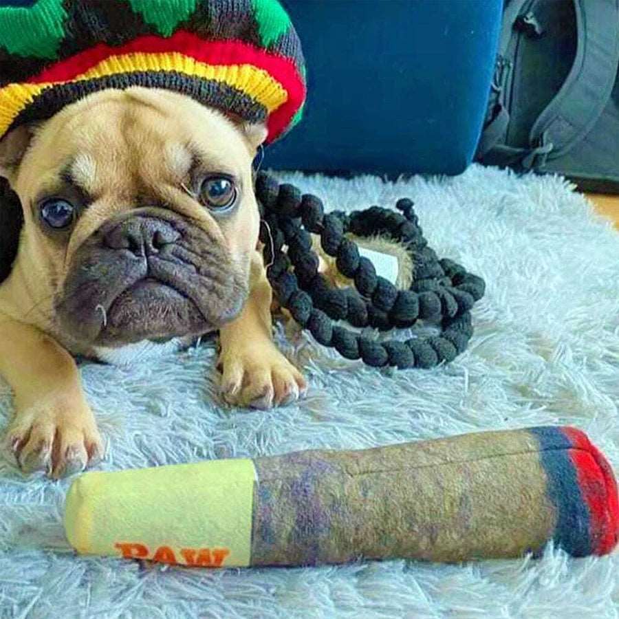 Interactive Cigar Dog Toy