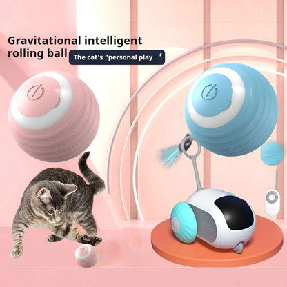 Smart Cat Ball