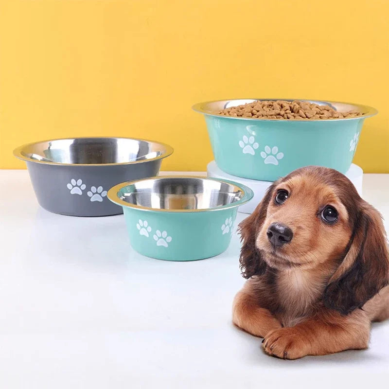 Stainless Steel Dog Feeder