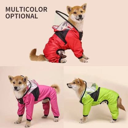  dog jacket