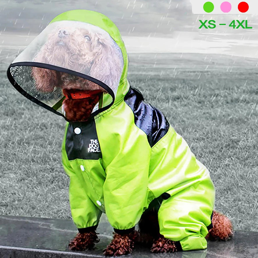 dog raincoat