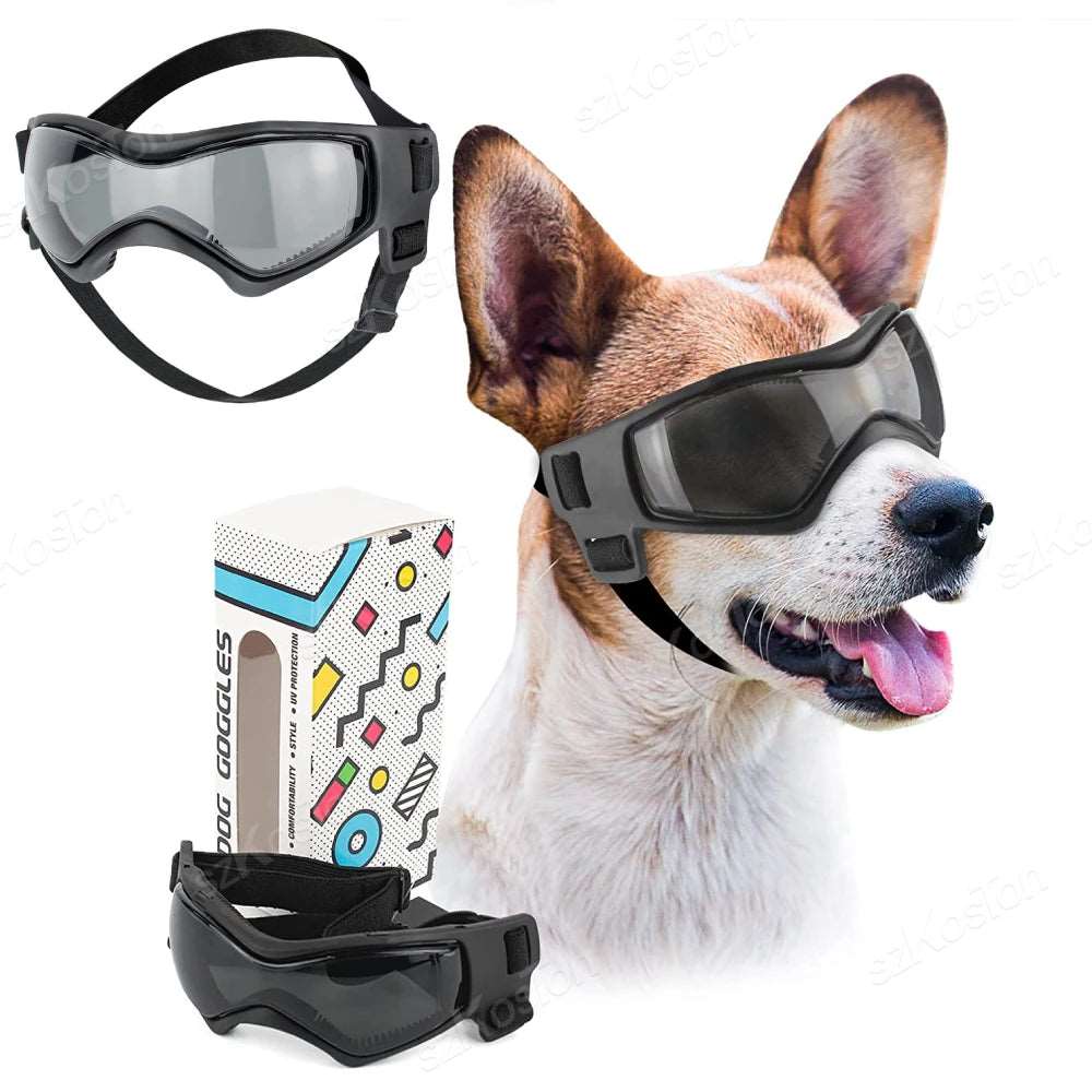 dog sunglasses