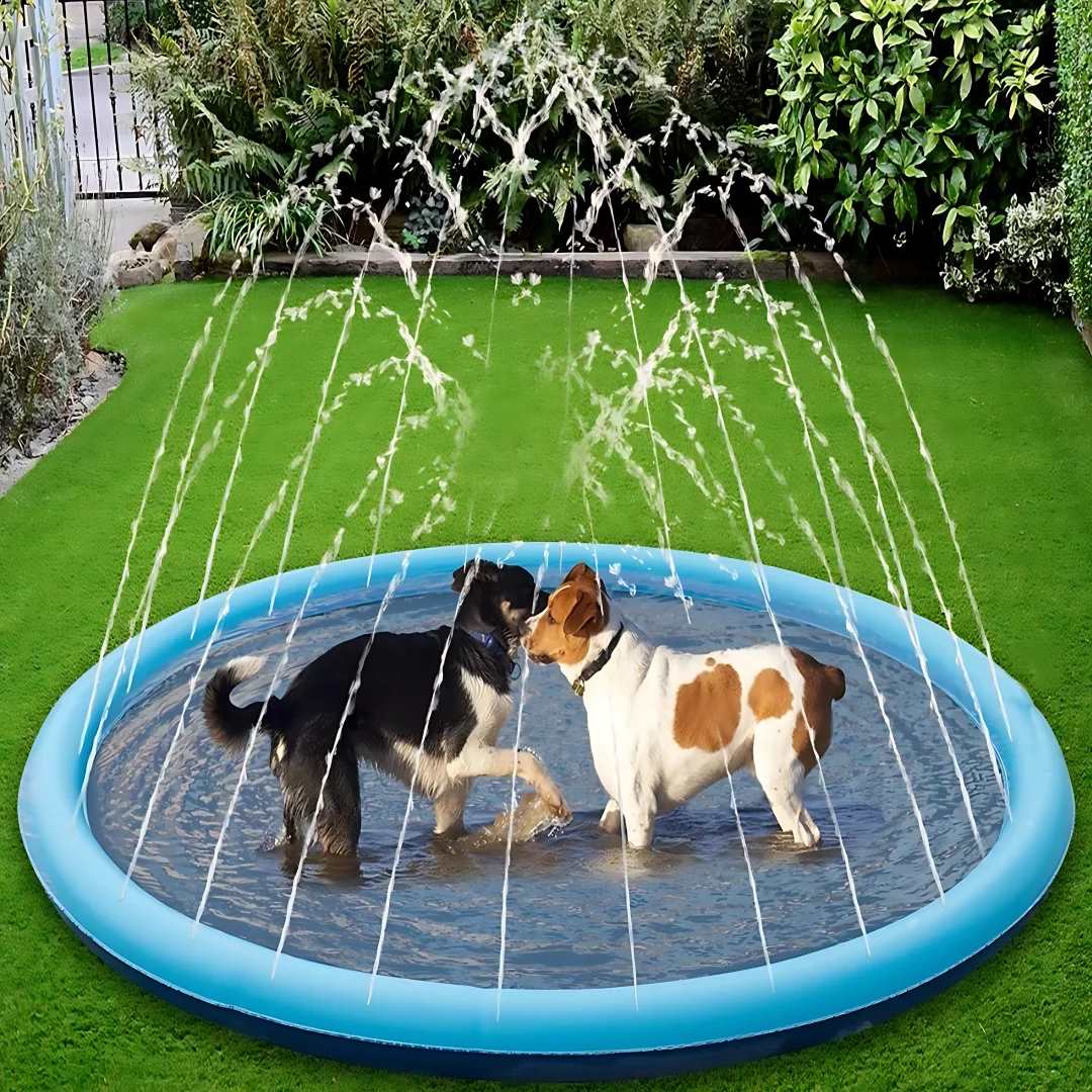 inflatable pet pool