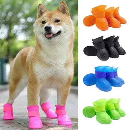 pet rain boots