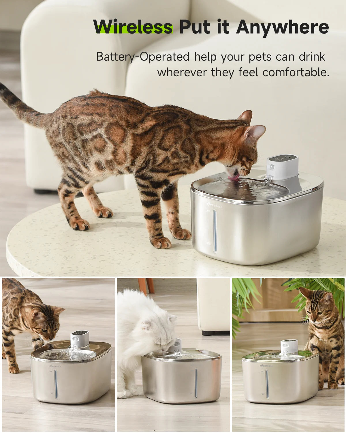 wireless pet fountain